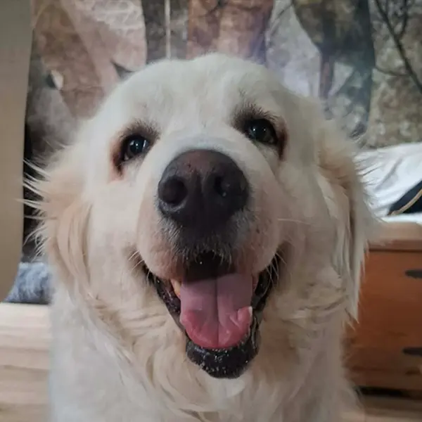 Molly